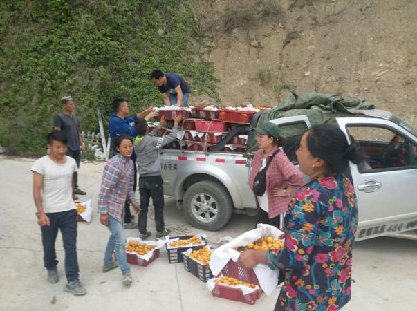 QQ图片20190519181353