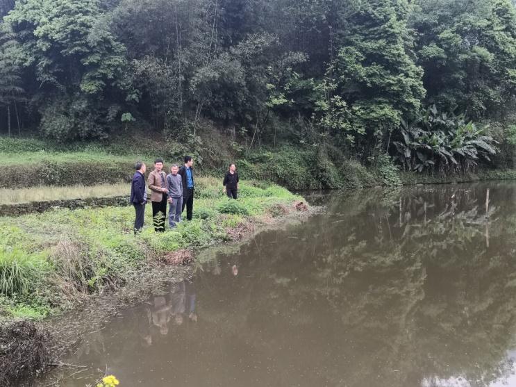 说明: U020200420819847165728.jpeg