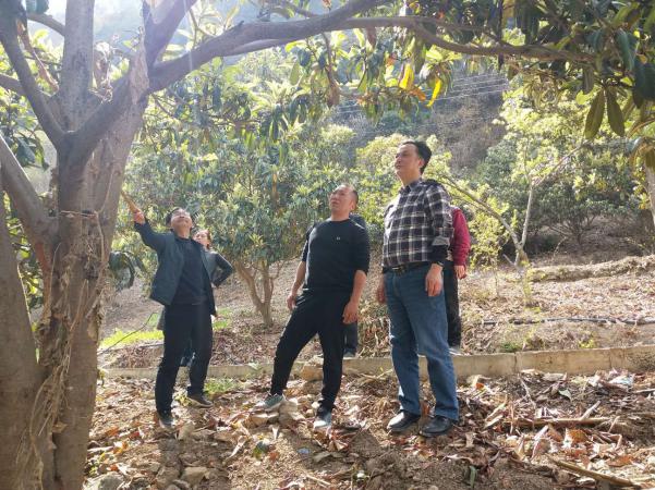 mmexport1553765557511