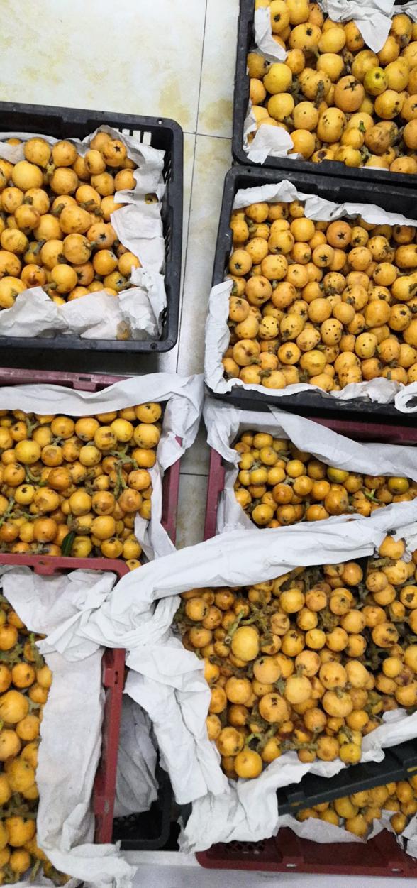 mmexport1558331775115