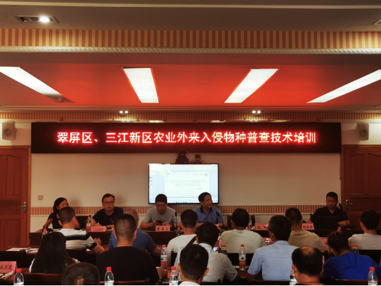 防范外来物种入侵  守护国门生物安全——我院现代农业学院积极开展农业外来入侵生物调查