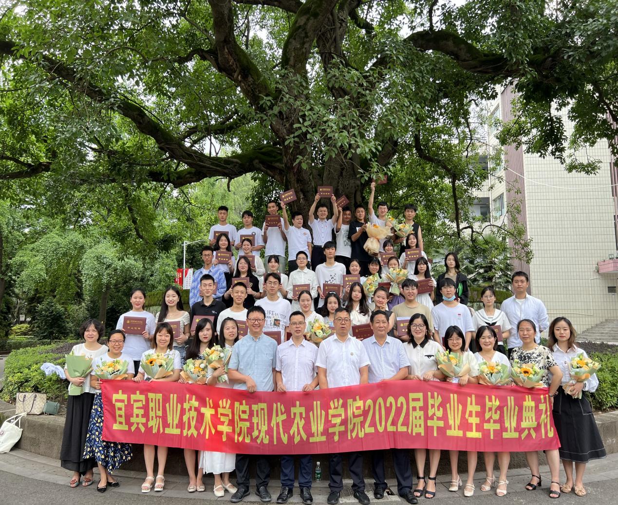 QQ图片20220704124525